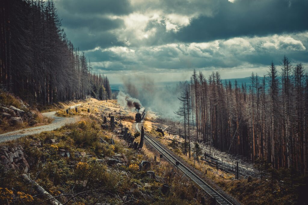 pexels-photo-2790395-2790395 Steam train travels through misty Harz forest, offering a scenic journey amidst dark clouds.