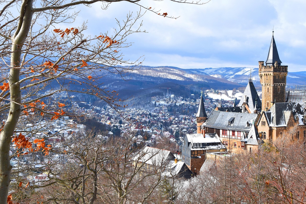 wernigerode, winter, agnesberg, saxony-anhalt, historical site, castle, fairytale castle, panorama, landscape, wernigerode, wernigerode, wernigerode, wernigerode, wernigerode